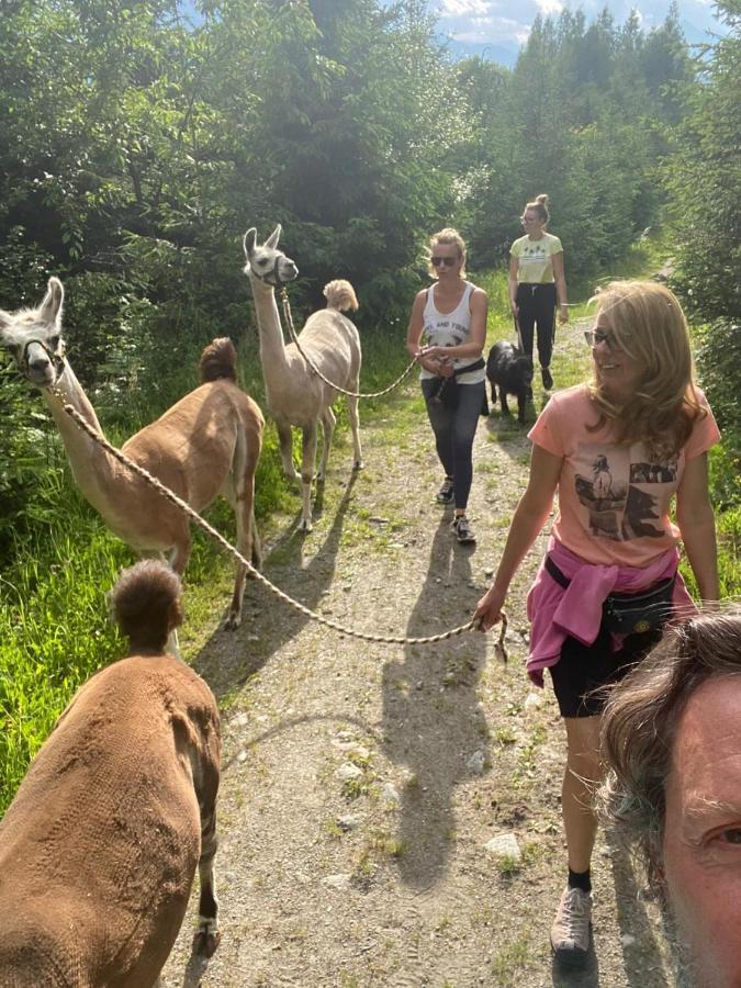 Naturidyll Brunner Kostendorf Buitenkant foto