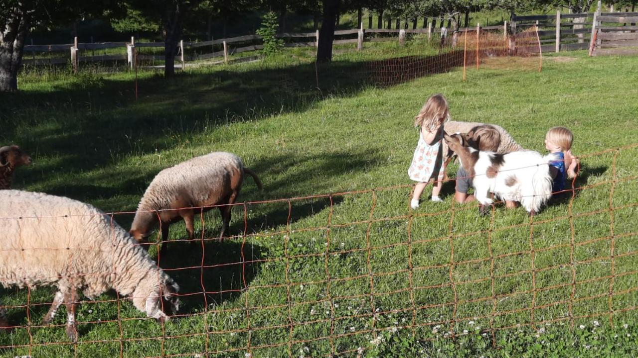 Naturidyll Brunner Kostendorf Buitenkant foto